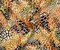 Yellow-Brown-Orange Abstract Cheetah Pattern Printed Linen Twill Fabric By the Yard